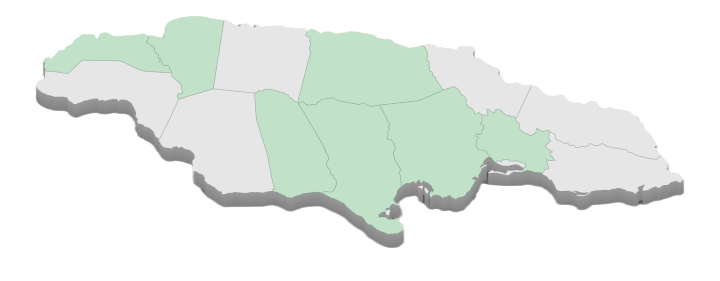 BPOs IN JAMAICA (65)